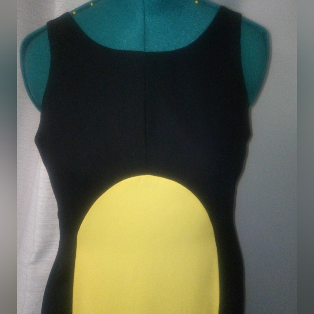 Ellen K Colorblocked Maxi Dress in Black & Yellow Sz 10 NEW - Picture 10 of 14